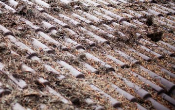 Shuthonger roof cleaning companies