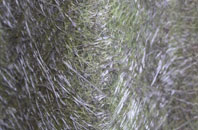 Shuthonger fibreglass roof work